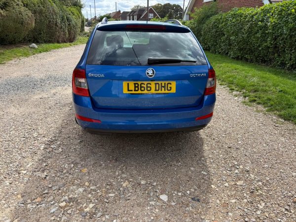Skoda Octavia SE (2016) 1.0 TSI SE Estate 5dr Petrol Manual Euro 6 (s/s) (115 ps) - Image 16